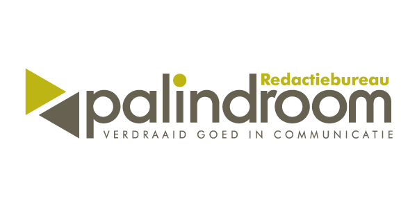 palindroom logo